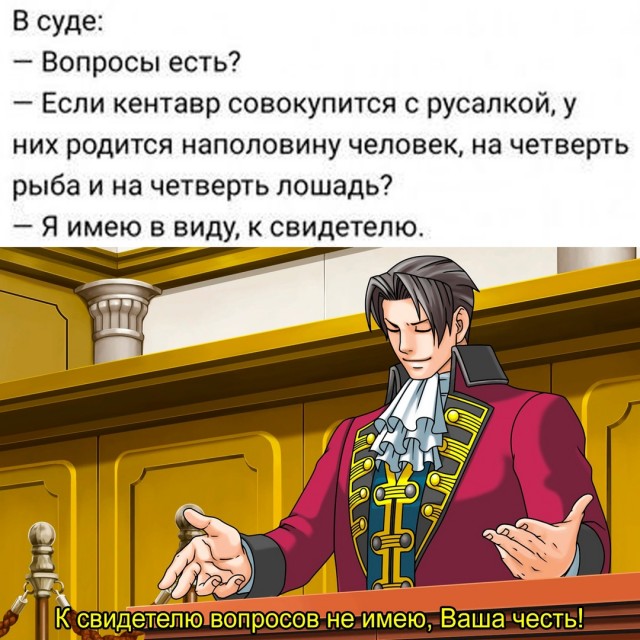 Весёлый полтишок 13.08.24
