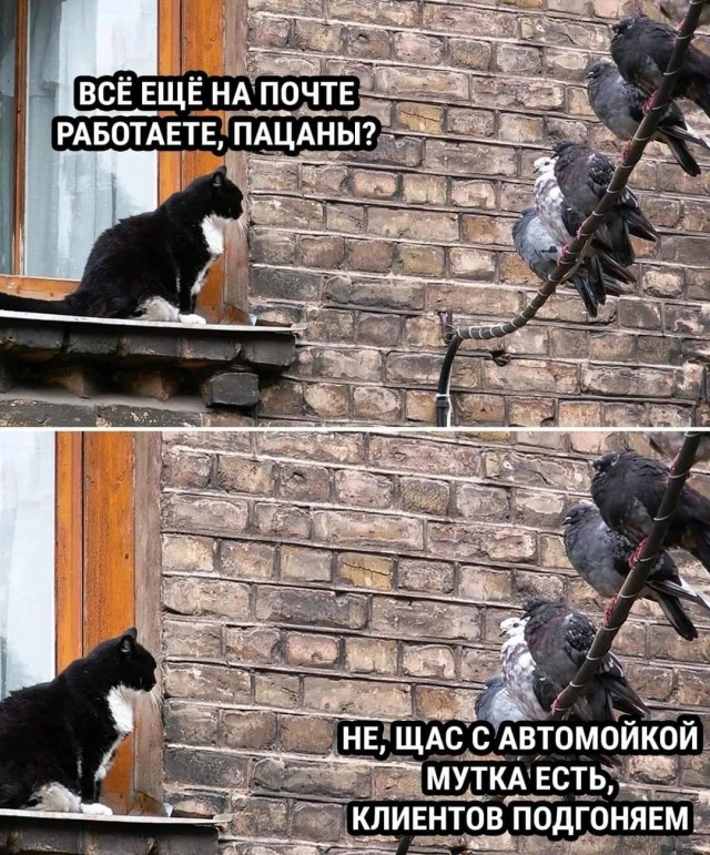 Завалялось тут случайно немного забавных картинок