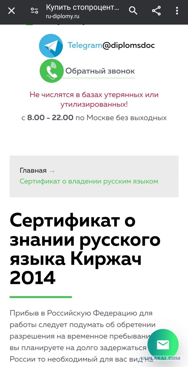 Российские авиакомпании массово приостанавливают полеты на самолетах Airbus из-за невозможности ремонтировать двигатели