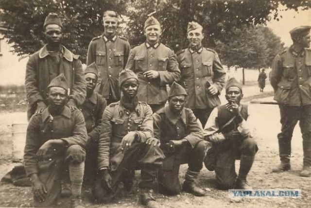 Негров—выставлять без разговоров.Европа озадачена