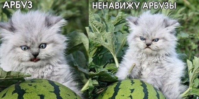 Воплощение зла