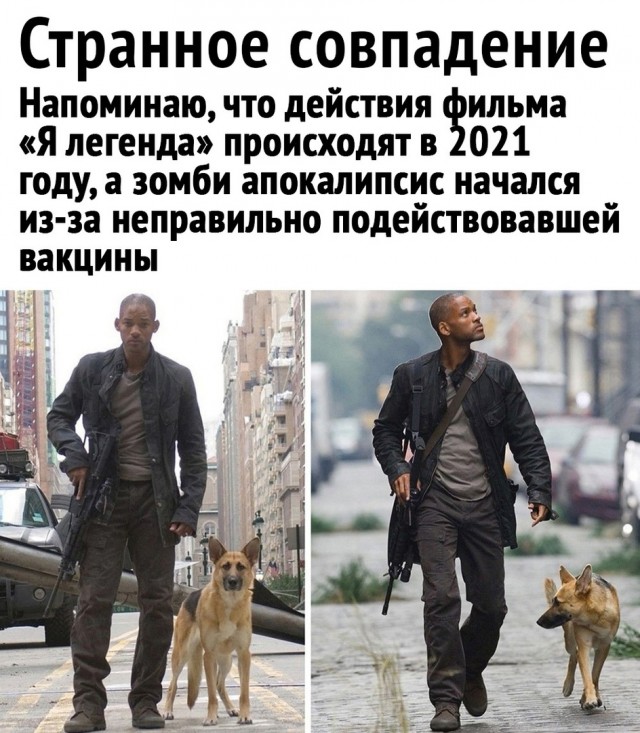 Так себе картинки 21.02.25