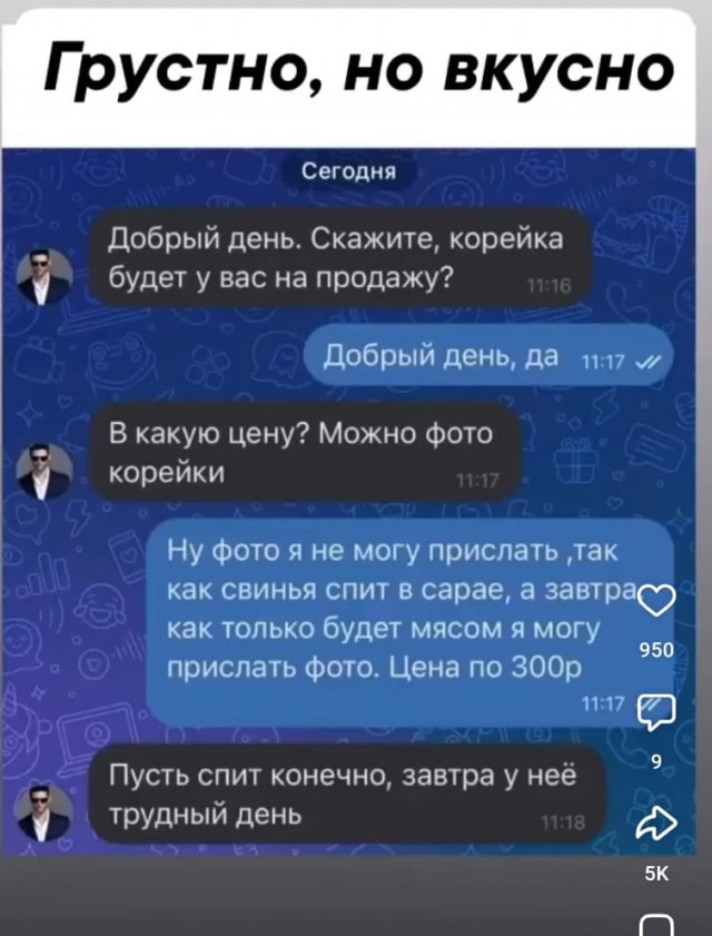 Так себе картинки 24.02.25