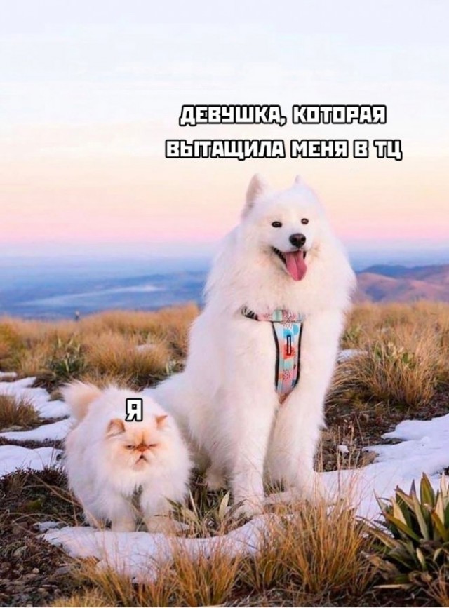 Веселые картинки в пятницу (28.03)