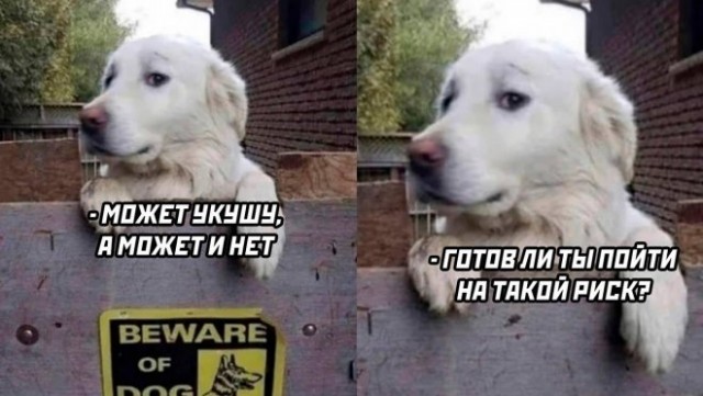 Веселые картинки во вторнег (06.05)