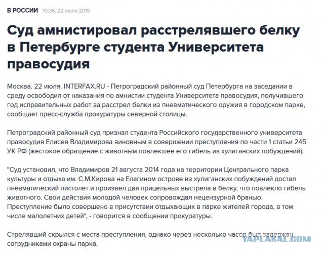 Спасение бельчонка