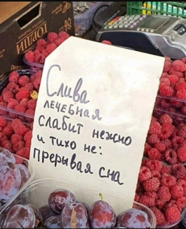 Так себе картинки 08.06.25
