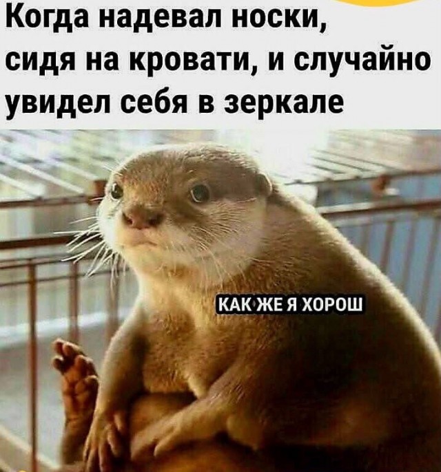 Завалялось тут случайно немного забавных картинок