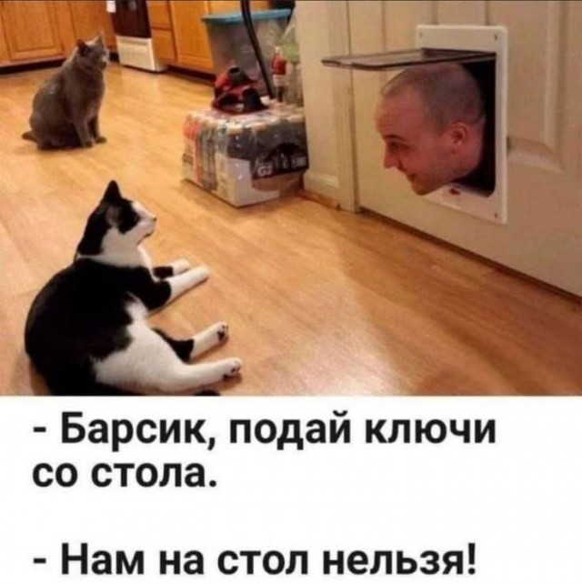 Забавные картинки, шутки из этих ваших интернетов