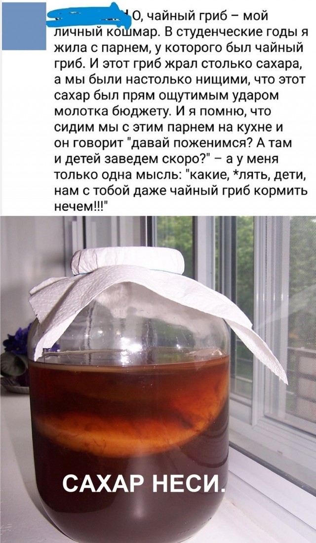 Так себе картинки 08.09.25