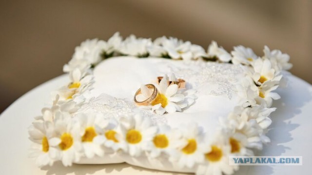 Более 2 тыс заявлений получили столичные загсы на красивые даты 2026 года