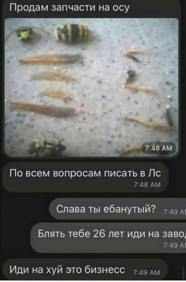 Всякая хреномуть