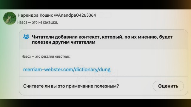 Индусы затравили блогера Тайлера Оливейра, который заснял фестиваль бросания навозом Горехабба в Индии
