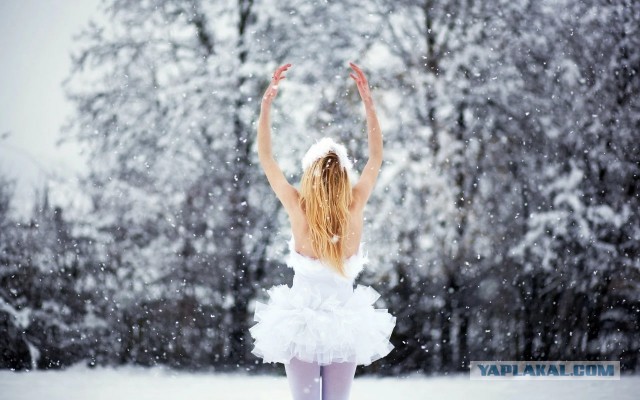 Подмосковье готовится к климатическому апокалипсису