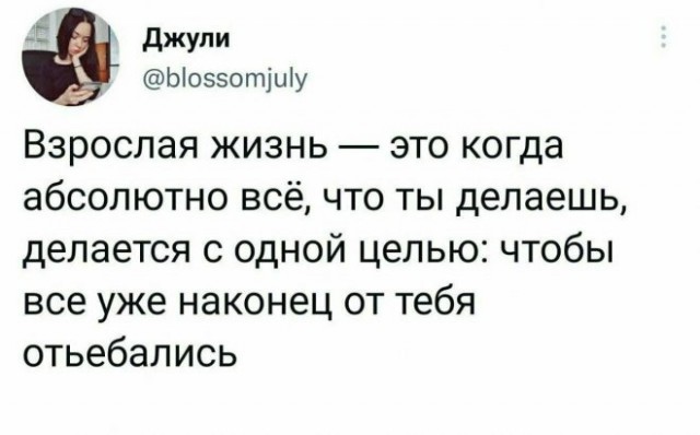 Веселые картинки в понедельник (22.12)