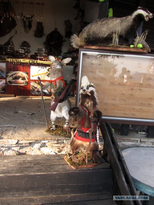 Летний отдых в Болгарии