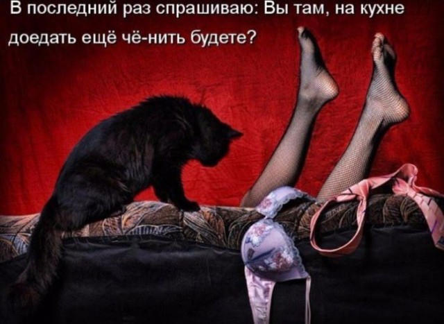 Так себе картинки 18.02.26