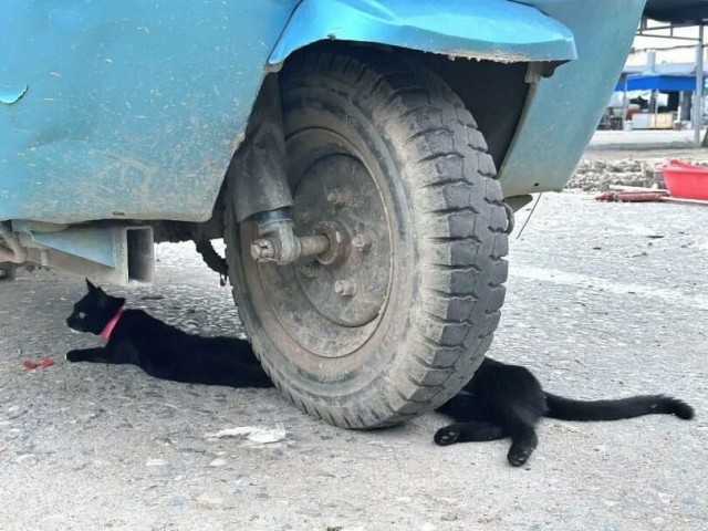 Оказалось - показалось