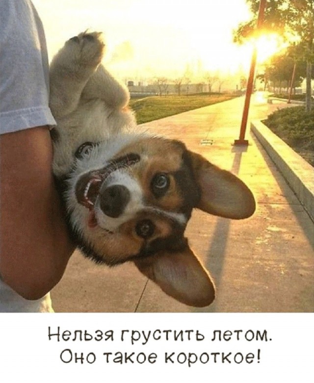Так себе картинки 04.07.26