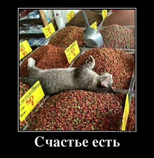 Так себе картинки 11.07.26