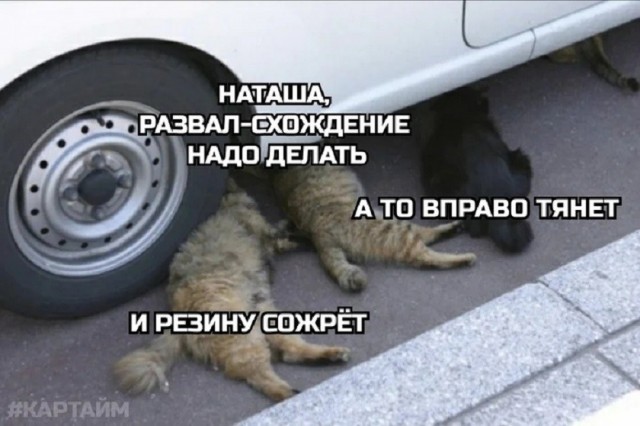 Так себе картинки 18.07.26