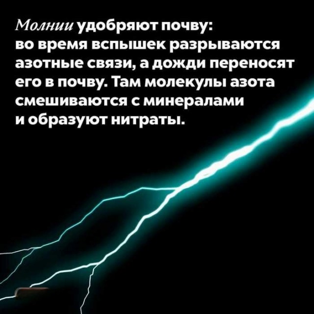 Интересные и короткие факты, на все случаи жизни