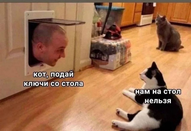 Так себе картинки 18.08.26
