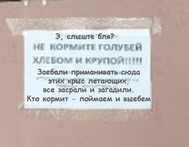 Объявленице