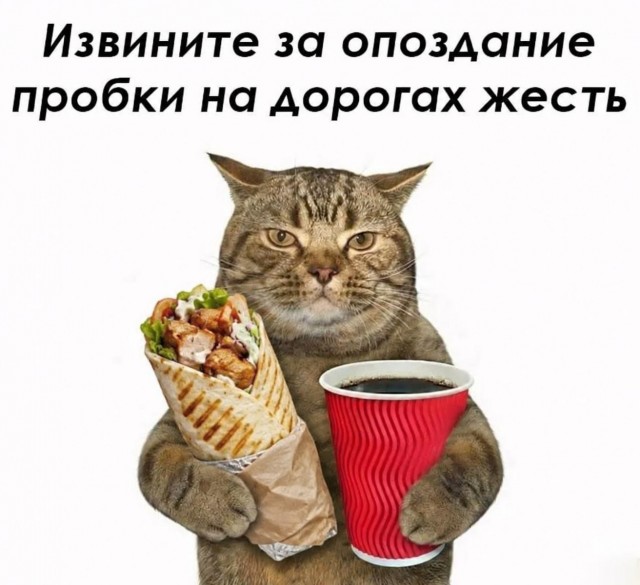 Сегодня отмечается День опозданий — праздник, когда задержаться куда угодно можно почти официально