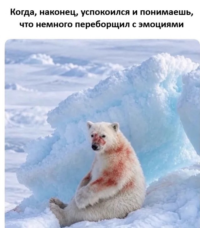 Картинки для деградации 299 (разной степени свежести)