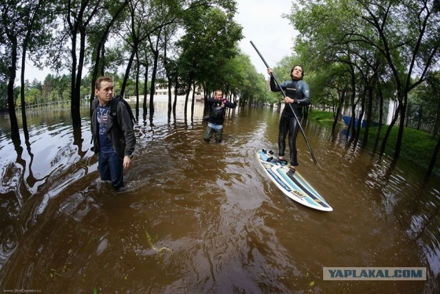 Серфинг на... футбольном поле