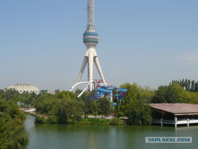 Ташкент в лицах