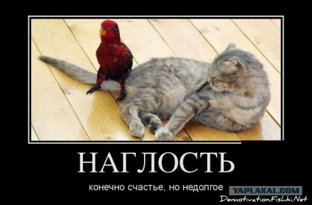 Покубимся малек? Пятница все таки