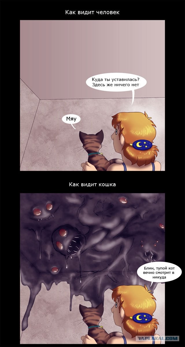 Страшная теория