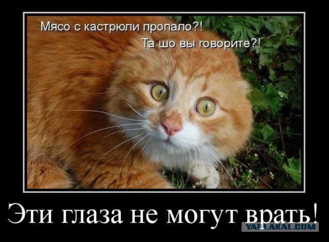 Прикольная пятницо