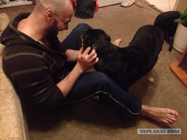 Комок счастья. Спасибо тебе, что вылечила меня..