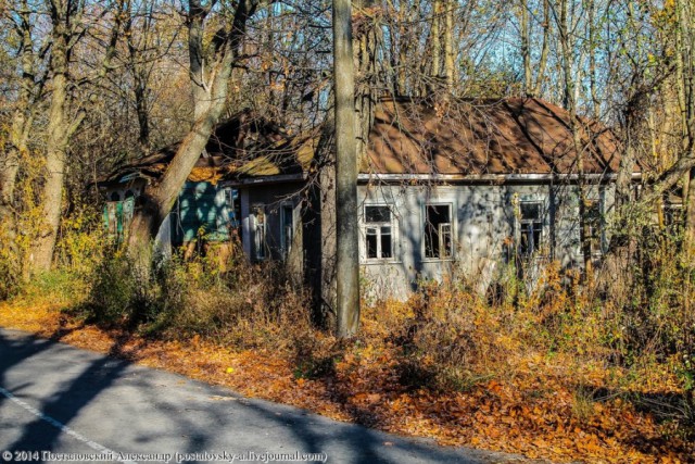 Осень в Зоне Отчуждения