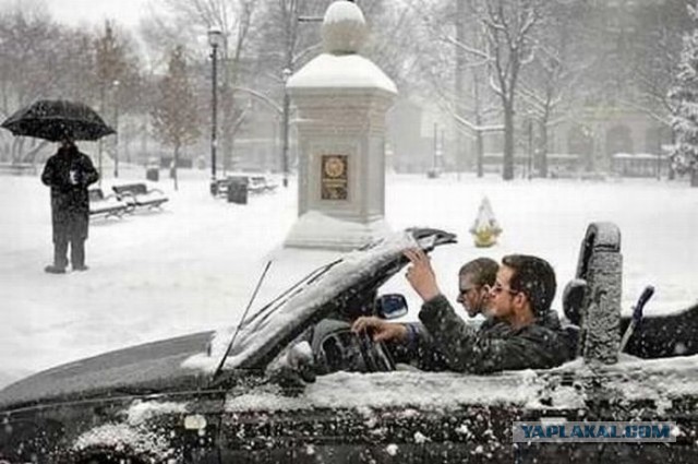 Веселые картинки