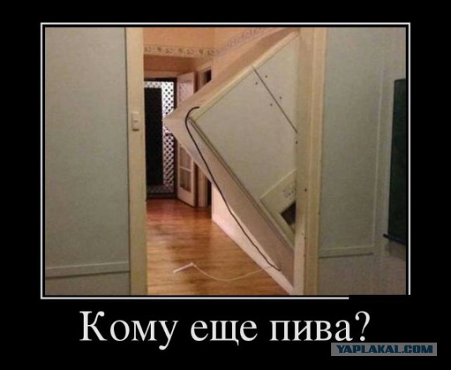 Демотиваторы вторника