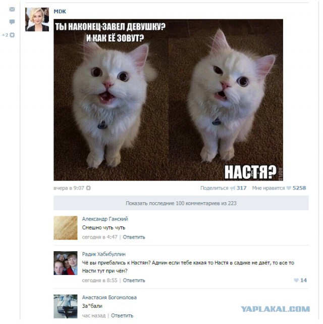 Смешные комментарии из социальных сетей