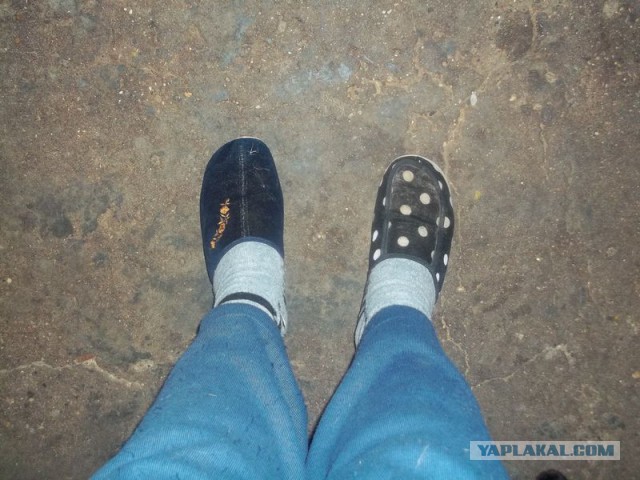 Жизнь домашнего приюта для котеек 65