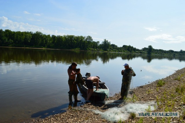 Плот.
