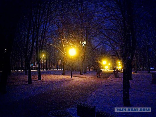 Прекрасная зимняя сказка Виктора Цыганова