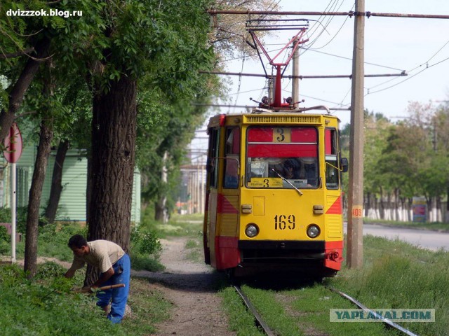 Лучшие фотографии электротранспорта - 2015