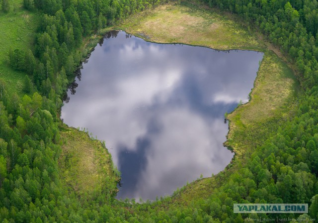 Край в котором я живу