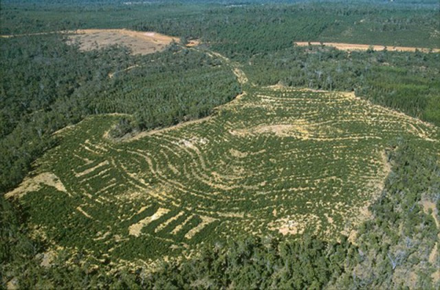 Гранд Каньон в США - древний карьер по промышленной добыче урана
