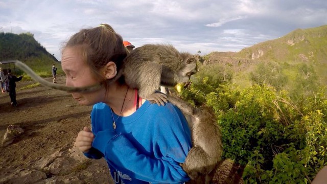 Интересные и веселые картинки