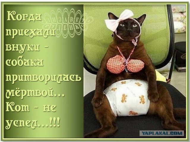 Немного лёгкой наркомании в картинках