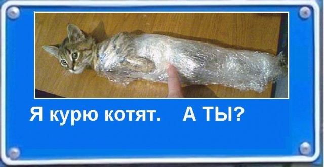 Фотожаба: Я Табличка