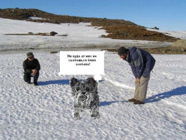 Фотожаба: Полярники окружают!